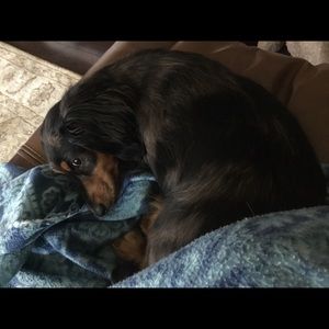 Meet your Posher, Angela